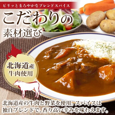 北海道素材にこだわったビーフカレー 5食_hs326-007