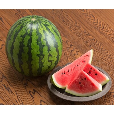 厳選 尾花沢すいか A品5Lサイズ(2玉入り)