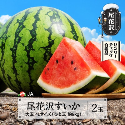 尾花沢すいか 4Lサイズ(約9kg)×2玉令和7年産 2025年産 JA ja-su4xx2