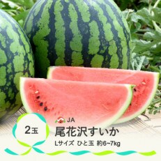 尾花沢すいか Lサイズ(約6kg～7kg)×2玉 令和5年産 7月下旬～8月10日頃発送 JA | ふるさと納税のお礼品
