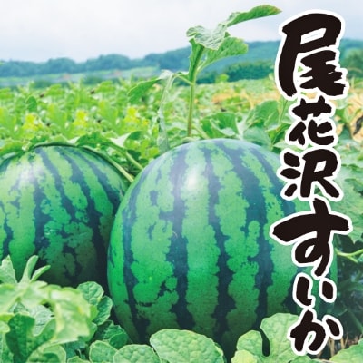 尾花沢すいか Lサイズ(約6kg)×2玉 令和7年産 2025年産 JA ja-su1xx2