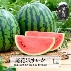 尾花沢すいか 5Lサイズ(約10kg)×1玉 令和6年産 2024年産 JA ja-su5xx1