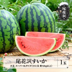尾花沢すいか スーパー6Lサイズ(約12kg以上)×1玉 令和6年産 JA ja-sus6x1