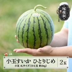 尾花沢産小玉すいか ひとりじめ4Lサイズ(約3kg)×2玉 令和6年産 JA ja-suk4x2