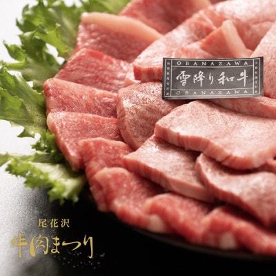 【雪降り和牛】尾花沢牛肉まつり　プチ贅沢焼肉セット　ロース・カタ・モモ・カルビ　500g