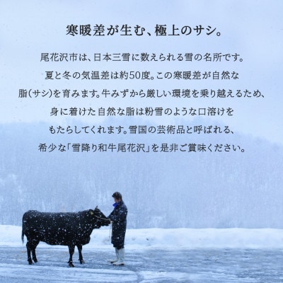 【雪降り和牛】尾花沢牛肉まつり　プチ贅沢焼肉セット　ロース・カタ・モモ・カルビ　500g
