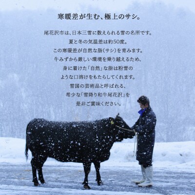 【雪降り和牛】尾花沢牛肉まつり　サーロインステーキ　480g　240g×2枚