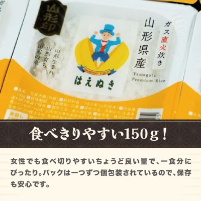 山形県尾花沢市産はえぬき パックご飯 パックごはん パックライス 米 白米 150g 24食入