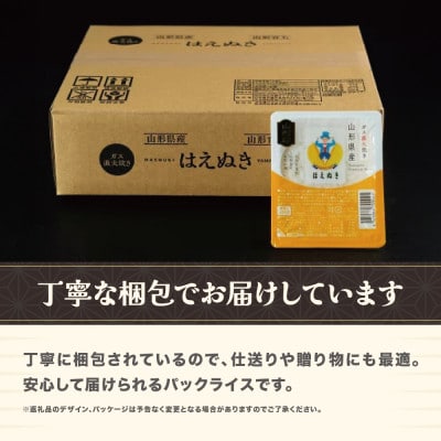 TVで紹介! はえぬき パックご飯 パックごはん パックライス 米 白米 150g 24食入