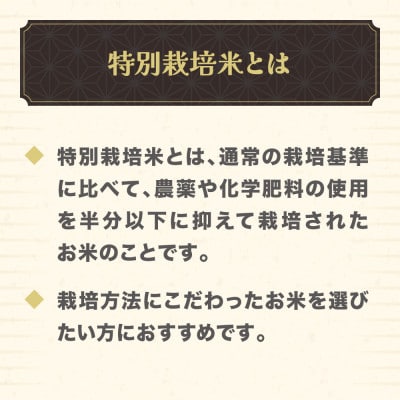 令和7年産 玄米 特別栽培米 つや姫 30kg 山形県尾花沢市産 ja-tsgta30