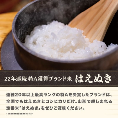 令和7年産 新米 精米 はえぬき 10kg 5kg×2袋 山形県尾花沢市産 ja-hasxa10