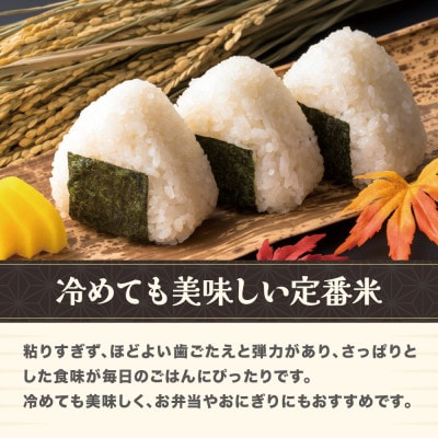 令和7年産 新米 精米 はえぬき 10kg 5kg×2袋 山形県尾花沢市産 ja-hasxa10