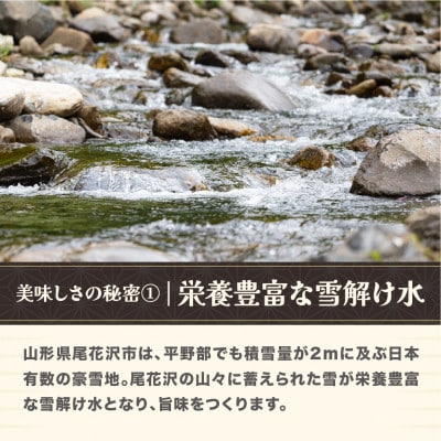 令和7年産 新米 精米 つや姫 20kg 5kg×4袋 山形県尾花沢市産 ja-tssxa20