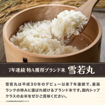 令和7年産 新米 精米 雪若丸 10kg 5kg×2袋 山形県尾花沢市産 ja-ywsxa10