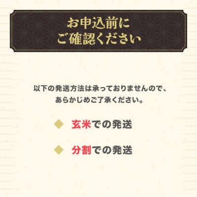 令和7年産 新米 精米 雪若丸 10kg 5kg×2袋 山形県尾花沢市産 ja-ywsxa10