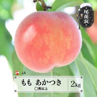 先行予約 もも あかつき 2kg(約6~8玉) ◯秀以上 2026年産 ja-moatx2