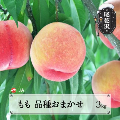 先行予約 もも 品種おまかせ 3kg 令和8年産 ja-moxxx3