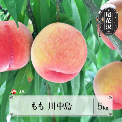 先行予約 もも 川中島 5kg 秀品 20玉以上 2026年産 ja-moknx5