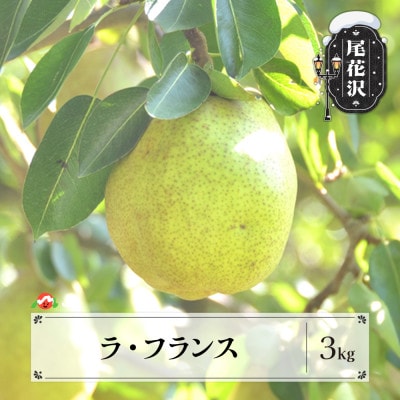 先行受付 ラ・フランス 秀以上 約3kg 令和8年産 山形県産