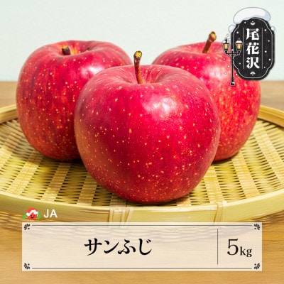 先行予約 りんご サンふじ 約5kg 秀品 令和8年産 2026年産 山形県産 ja-risfx5