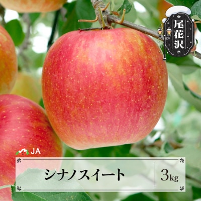 先行予約 りんご シナノスイート 約3kg ○秀 令和8年産 2026年産 ja-rissx3