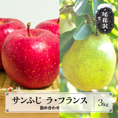 先行予約 サンふじ&ラ・フランス詰め合わせ 約3kg 2026年産 山形県産 ja-fsflx3
