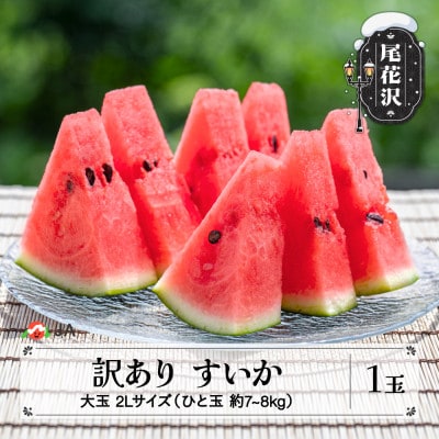 訳あり すいか 2Lサイズ(約7kg)×1玉 令和8年産 ja-su2wx1