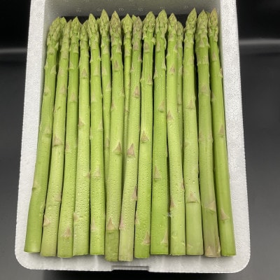 尾花沢産「銀山春アスパラガス」Lサイズ2kg