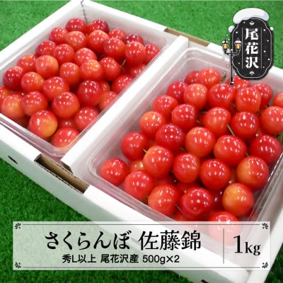 先行受付 さくらんぼ 佐藤錦 500g×2 1kg 秀Lサイズ以上 化粧詰め 山形県尾花沢市産
