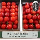 先行受付 さくらんぼ 紅秀峰 500g×2 1kg 秀 Lサイズ以上 化粧詰め 山形県尾花沢市産