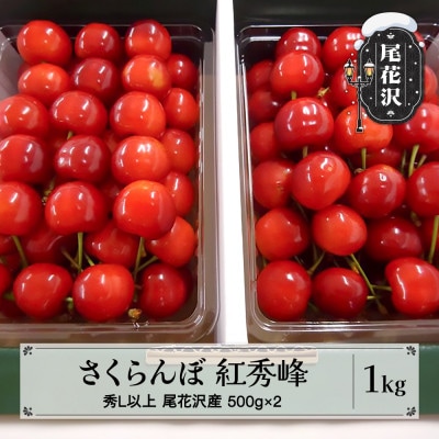 先行受付 さくらんぼ 紅秀峰 500g×2 1kg 秀 Lサイズ以上 化粧詰め 山形県尾花沢市産