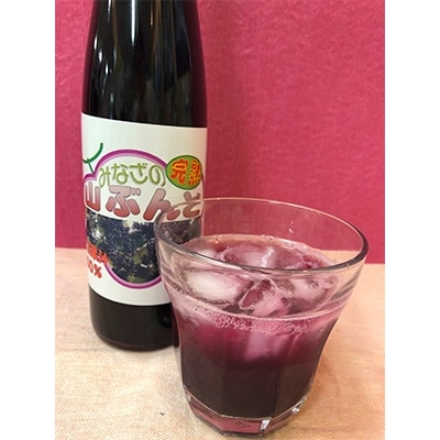 尾花沢産完熟山ぶどう原液果汁(山ぶんど・500ml×2本)