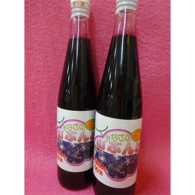 尾花沢産完熟山ぶどう原液果汁(山ぶんど・500ml×2本)