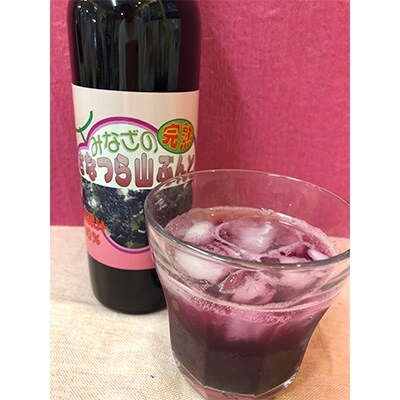 尾花沢産完熟山ぶどう原液果汁(さなつら・500ml×2本)