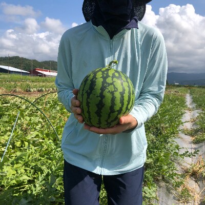 早出し尾花沢産スイカ　小玉(約2～4kg)×4