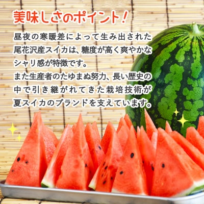 【先行受付】尾花沢産スイカ Lサイズ(約6kg)×2玉 令和7年産 観光物産 kb-su1xx2
