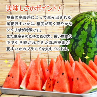 【先行受付】尾花沢産スイカ 3Lサイズ(約8kg)×1玉 令和7年産 観光物産 kb-su3xx1