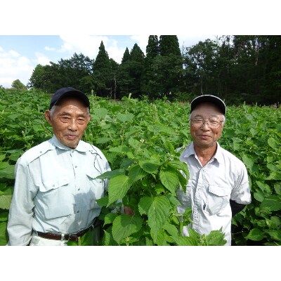 尾花沢産えごま入りパスタ・白えごま油セット