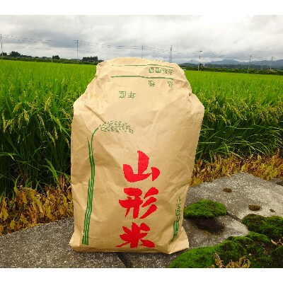 令和3年度尾花沢産つや姫玄米30kg