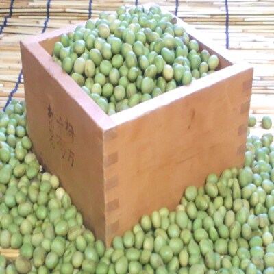 【清流の里ほその村】米粉・老舗お菓子屋の秘伝豆ずんだん餡セット
