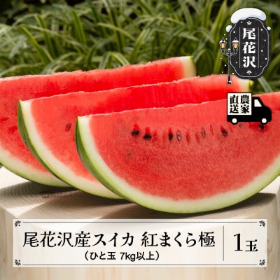 【先行受付】尾花沢産スイカ 紅まくら極 7kg以上 1玉 令和7年産 観光物産 kb-submk1