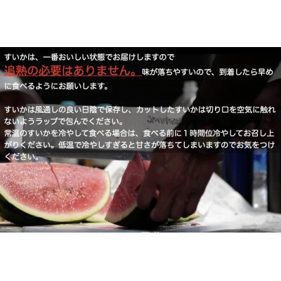 【観光物産】【令和4年産】尾花沢産スイカ　紅まくら極(7kg以上)2個