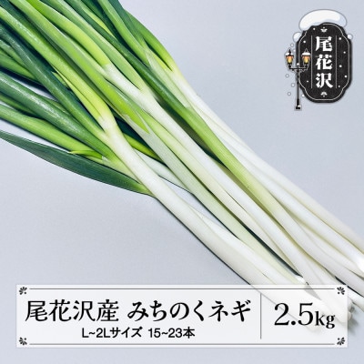 尾花沢産 みちのくネギ 2.5kg L~2Lサイズ 15~23本　kb-vgnxx25 | ふるさと納税のお礼品