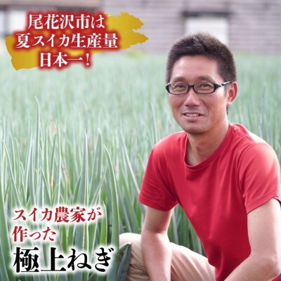 尾花沢すいか農家の「尾花沢産ねぎ」Lサイズ 2.5kg(約22本)