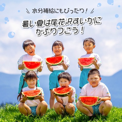 【先行受付】尾花沢産スイカ 5Lサイズ(約10kg)×1玉 令和7年産 観光物産 kb-su5xx1