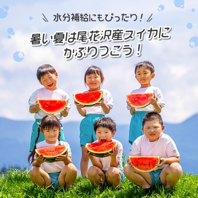 【先行受付】尾花沢産スイカ 6Lサイズ(約11kg)1玉 令和7年産 観光物産 kb-su6xx1