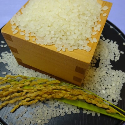 令和6年産 ひとめぼれ 精米 5kg  山形県尾花沢市産