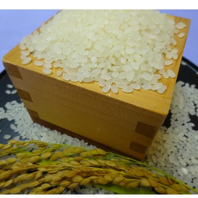 【令和4年産】尾花沢産ひとめぼれ　精米(5kg×2袋)