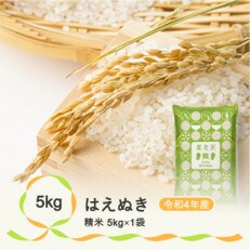 【令和4年産】尾花沢産はえぬき　精米(5kg×1袋)
