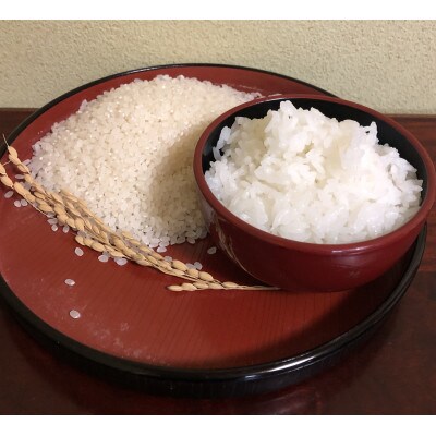 令和6年産 はえぬき 精米 5kg×2袋 10kg 山形県尾花沢市産 kn-hasxb10
